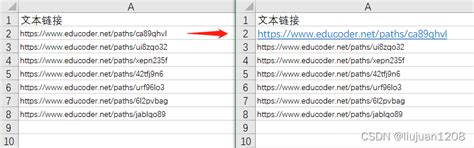 Excel中如何将文本链接转成跳转链接_excel链接怎么自动跳转网页-CSDN博客