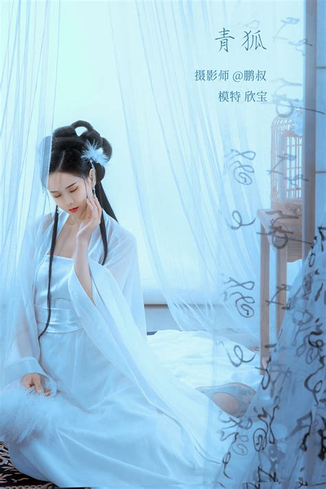 青狐图片