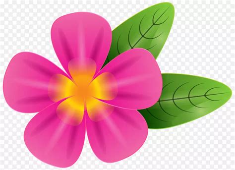 朗吉帕尼摄影剪贴画-粉红热带花PNG剪贴画图片PNG图片素材下载_图片编号13772-PNG素材网
