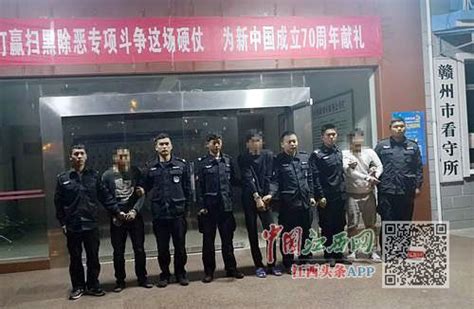 泗水县公安局打掉一盗油团伙 带破案件30起凤凰网山东_凤凰网