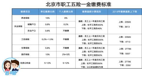 上海公布2021年五险一金缴费标准：上海五险一金缴纳比例是多少？|红海eHR