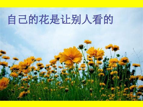 开出球状花的花卉植物摄影高清jpg图片免费下载_编号z7oh3egd1_图精灵