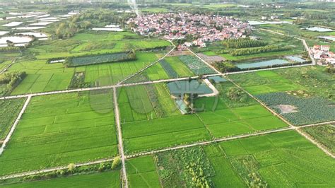 延伸产业链 汪集鸡汤带动汤食一条街提档升级 - 湖北日报新闻客户端