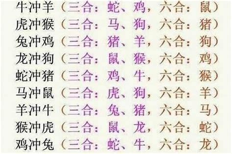 十二生肖的代号分别是什么？十二生肖哪个属于秀才_生肖_若朴堂文化