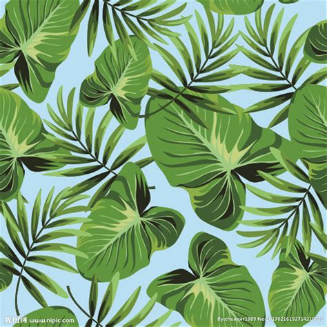 热带雨林植物背景设计图__背景底纹_底纹边框_设计图库_昵图网nipic.com