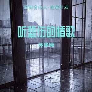 苏星婕《听悲伤的情歌(DJ版)》[MP3_LRC]FLAC无损音乐歌词Mp3免费下载-易听音乐网