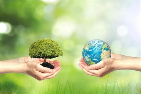 泰安市林业局 林业新闻 世界野生动植物日：推动绿色发展，促进人与自然和谐共生