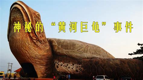 神秘的“黄河巨龟”事件！纪录片