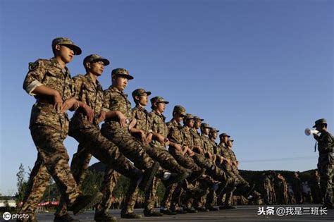 中新网：首届武警部队定向直招士官生顺利入伍-武汉船舶职业技术学院