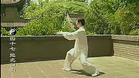 扎西大师演练传统杨氏太极拳85式_腾讯视频