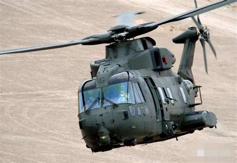 欧洲航空工业实力的标杆——EH101直升机和NH90直升机|山猫|直升机|多用途_新浪新闻