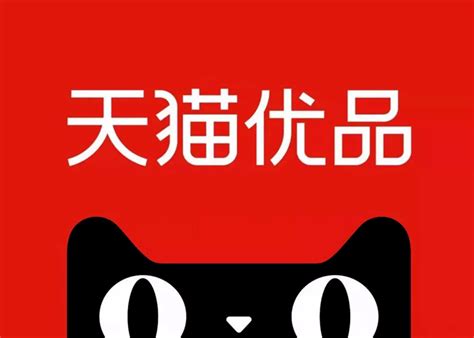 天猫优品联合6方发布家电下沉市场第一本行业白皮书_新浪家居