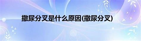 梦见狗撒尿什么意思 梦见狗撒尿有什么预兆 - 万年历