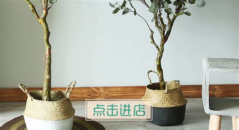 京东鲜花-花卉绿植