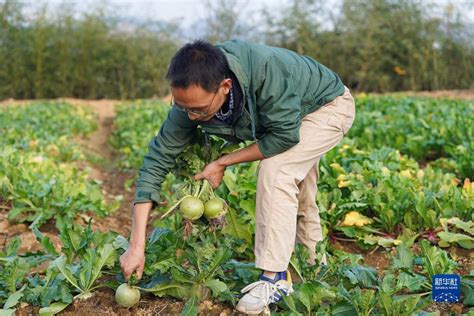 福州一农民免费为抗疫一线人员家送农产品，已送出超千斤蔬菜