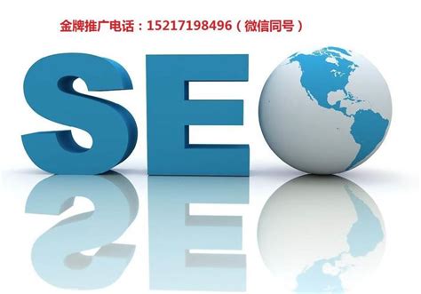 网站seo关键词优化软件 seo网站关键词优化软件-码迷SEO