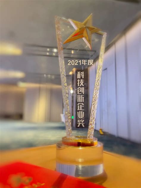 艾为电子荣获上海市人工智能技术协会“2021年度科技创新企业奖”