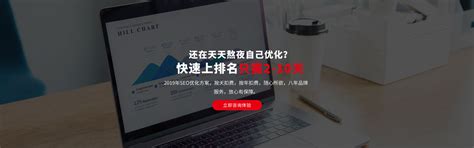 SEO-网站优化-seo快排-新站快速排名-网商天下