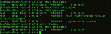 Linux安装Nginx详细步骤_linux安装nginx mirror-CSDN博客