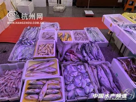 深扒京城10万平海鲜市场, 60岁渔民教你如何买哭海鲜商贩!