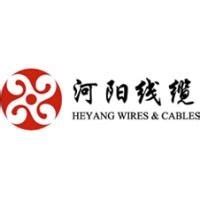 中国十大电线电缆品牌排行榜 特变电工上榜，第九性价比很高_排行榜123网