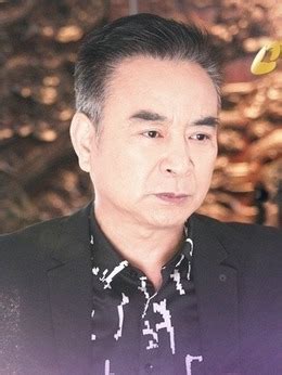 吃素的小爸第一季剧情介绍（1-12全集）大结局_电视剧_电视猫