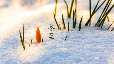 初雪的特殊寓意是啥(明日冬至，这一天下雪有什么预兆？看看老祖宗留下的谚语怎么说) - 【爱喜匠】