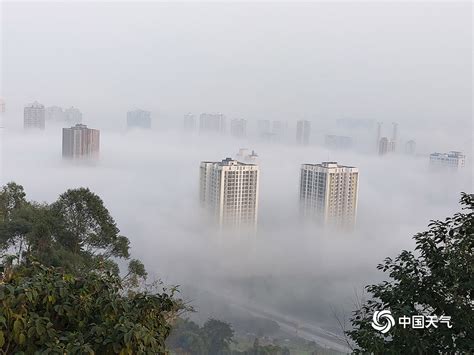 雾“锁”重庆 高楼若隐若现似仙境-高清图集-中国天气网