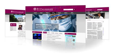 复旦大学遗传工程国家重点实验室医疗网站建设_广漠传播