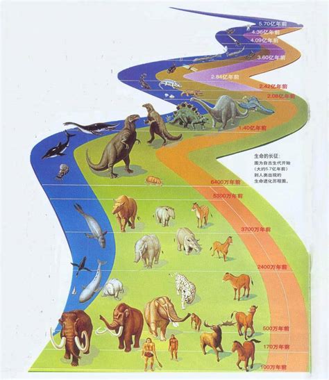 史上最大陆生哺乳动物原来是犀牛的近亲，曾经生活在我国大地上