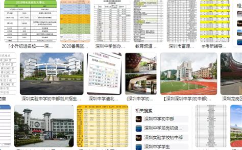 2023年招生简章3_招生信息_郑州市第五十六高级中学