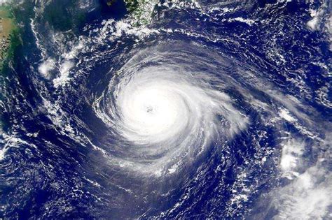 台风“苗柏”，如此诗意的名字究竟何人所取？