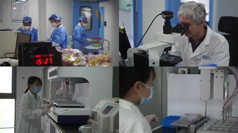 多图直击北京核酸检测实验室，日均40万的样本到底怎么检测？_凤凰网