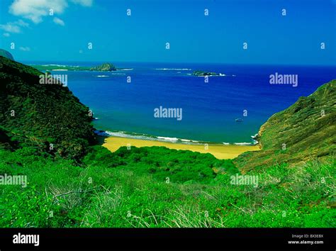 10814549 hi-res stock photography and images - Alamy