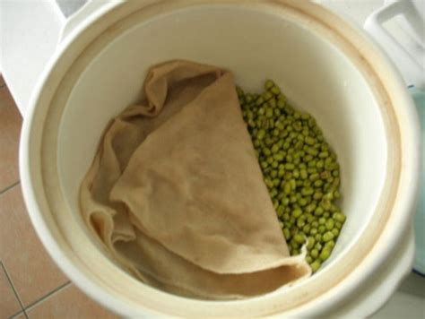 【开水烫绿豆，简单生豆芽的做法步骤图】爱在厨房70后_下厨房