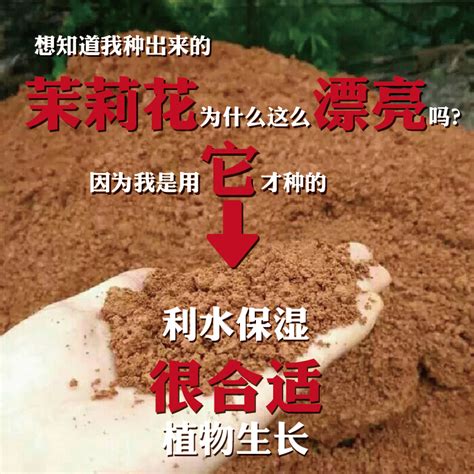 酸性沙质红土黄土壤南方高山土田园土通用土种花种菜花泥土天然土-淘宝网