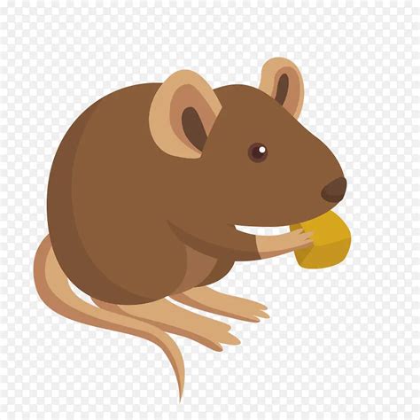 老鼠为什么喜欢咬东西_腾讯视频