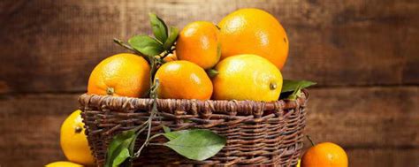 橙子的寓意 什么是橙子的寓意_知秀网