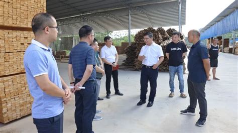 【城市建管提质年·共创大美武宣】把绿水青山留给人民 让文旅产业成为武宣发展新引擎_澎湃号·政务_澎湃新闻-The Paper