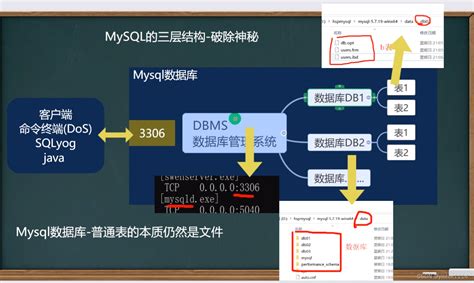 MySQL——————基础教学一_mysql教案-CSDN博客