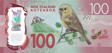 一堆不同的新西兰元钞票高清图片下载-正版图片504556431-摄图网