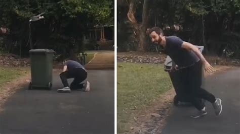 愤怒的小鸟！澳大利亚男子藏在垃圾箱后躲避鸟的攻击