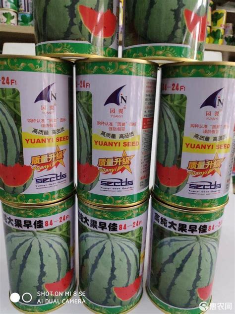 [西瓜种子批发]高纯大果早佳8424西瓜种子 早熟高品质少籽型西瓜瓤红大果味价格68元/罐 - 惠农网