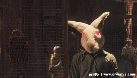 10只兔子恐怖照片：不存在(该梗出自童谣十只兔子)_奇趣解密网