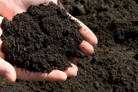 多肉植物营养土全新升级配方泥炭种植土颗粒土石子颗粒土赤玉土_虎窝淘