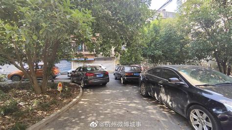 两车剐蹭，私家车主动手打人后离去，深圳的哥懵了..._深圳新闻网