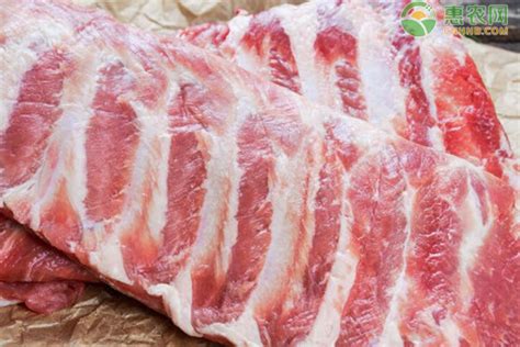 2023春节猪肉价格多少钱一斤？