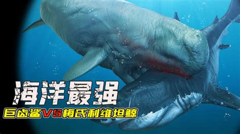 如果巨齿鲨对战利维坦鲸谁更厉害呢_腾讯视频
