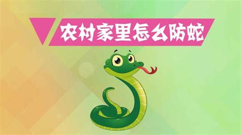 捕蛇 防蛇工程-虫害控制种类-产品中心 - 江苏君安害虫防治有限公司