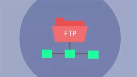 AMH管理面板系列教程之三：设置网站FTP用户管理 | 老左笔记